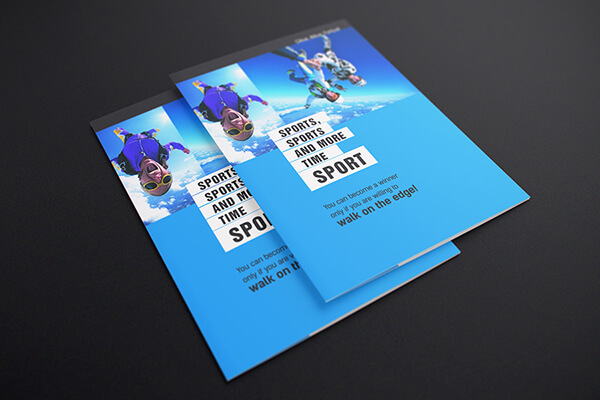 Flyers in House Print
